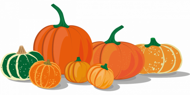 pumpkins_5570855_1280.png