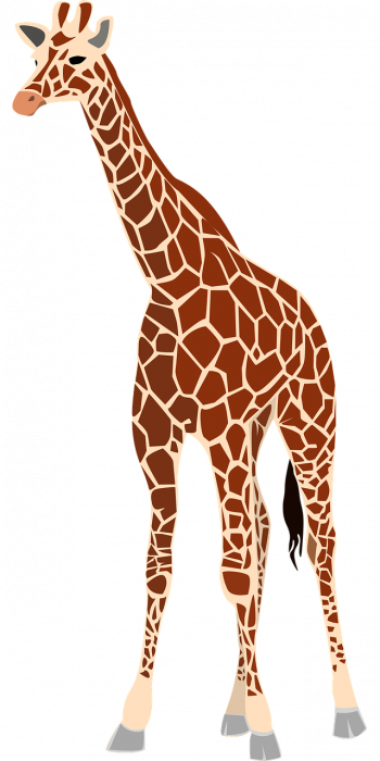 giraffe_40035_1280.png giraffe_40035_1280.png